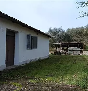 Foto annuncio 4