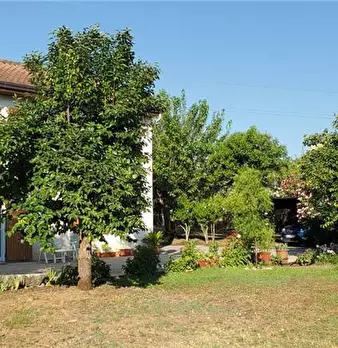 Foto annuncio 3