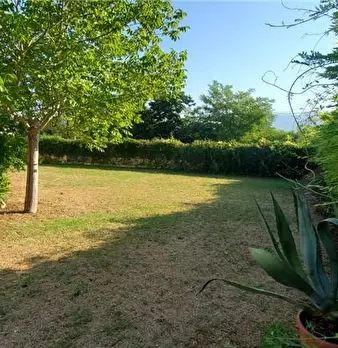 Foto annuncio 4