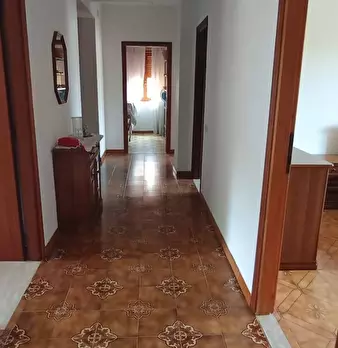 Foto annuncio 12