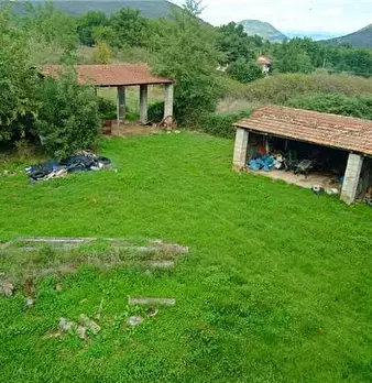 Foto annuncio 15