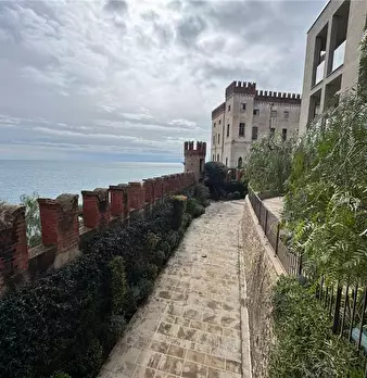 Foto annuncio 9