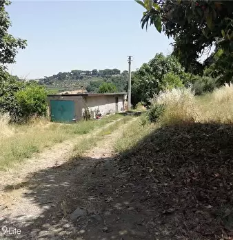 Foto annuncio 1