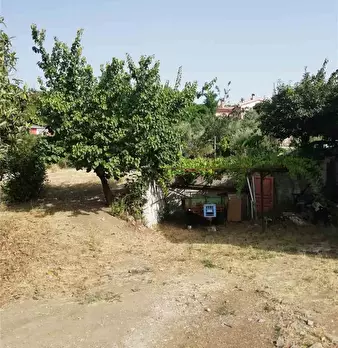 Foto annuncio 4