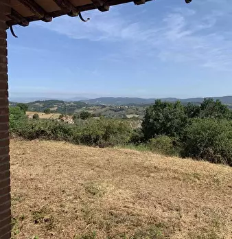Foto annuncio 10