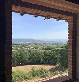 Foto annuncio 12