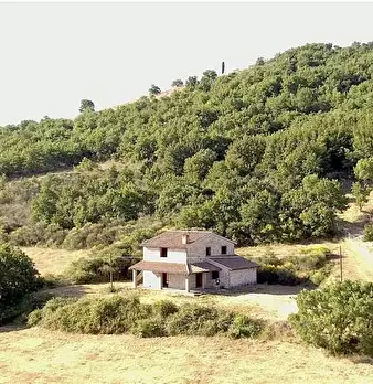 Foto annuncio 2
