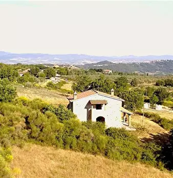 Foto annuncio 4