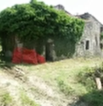 Foto annuncio 5