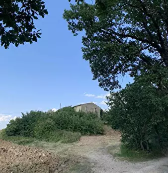 Foto annuncio 3