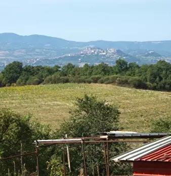 Foto annuncio 4