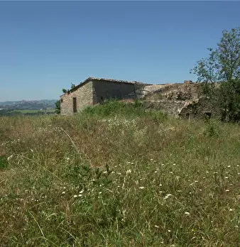 Foto annuncio 3