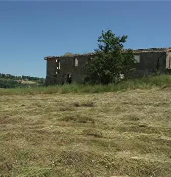 Foto annuncio 4