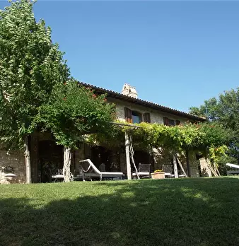 Foto annuncio 12