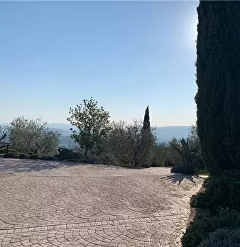 Foto annuncio 11