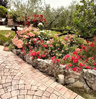 Foto annuncio 3