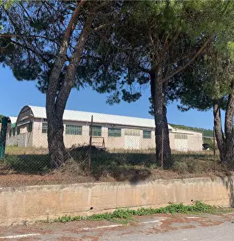 Foto annuncio 13
