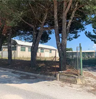 Foto annuncio 2