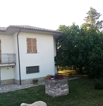 Foto annuncio 4