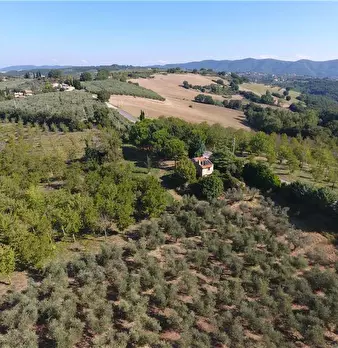 Foto annuncio 4