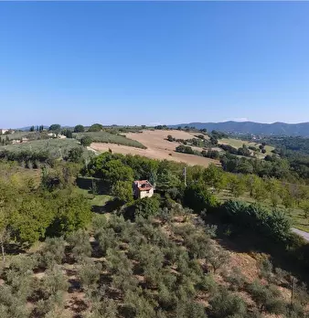 Foto annuncio 6