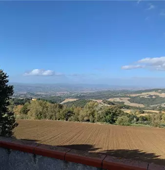 Foto annuncio 18