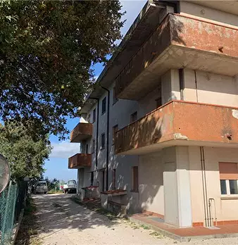 Foto annuncio 19