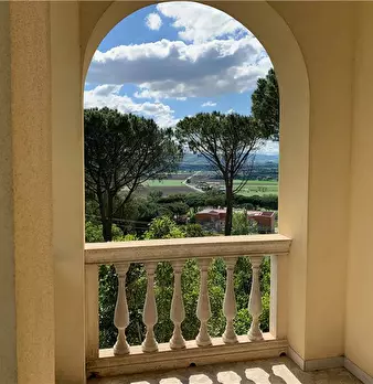 Foto annuncio 29