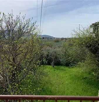 Foto annuncio 22