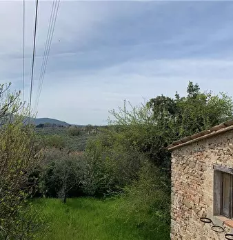 Foto annuncio 23