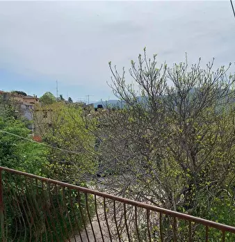 Foto annuncio 24