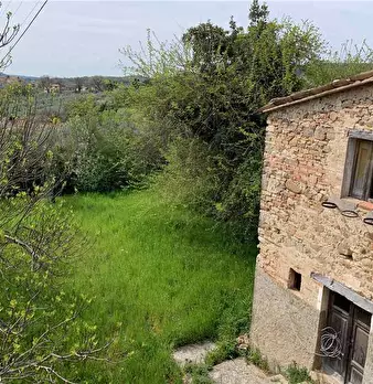 Foto annuncio 28