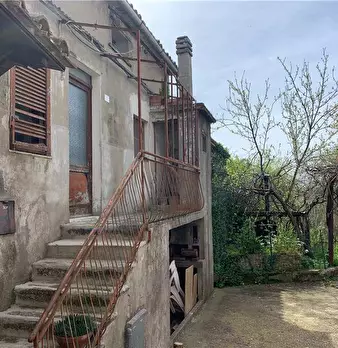Foto annuncio 5