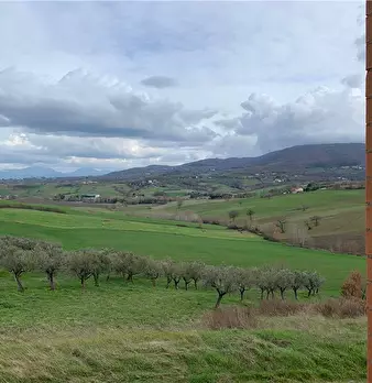 Foto annuncio 12