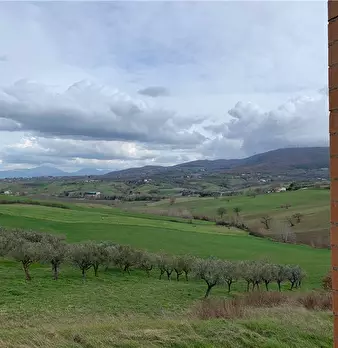 Foto annuncio 13