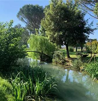 Foto annuncio 25
