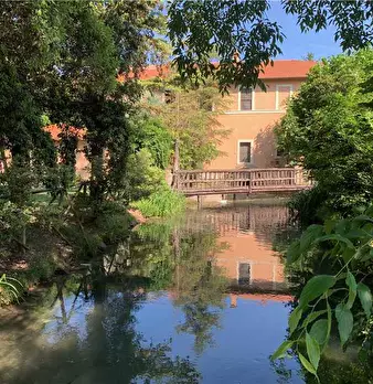 Foto annuncio 30