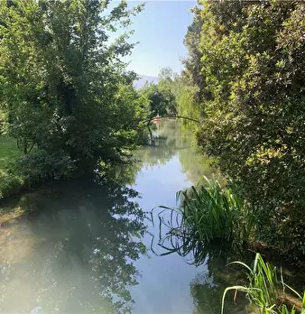 Foto annuncio 31