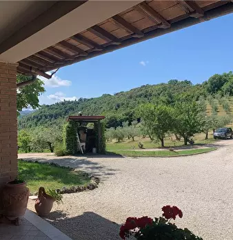 Foto annuncio 11