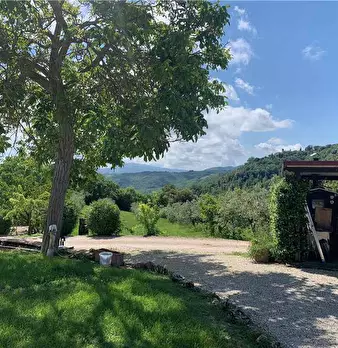 Foto annuncio 12