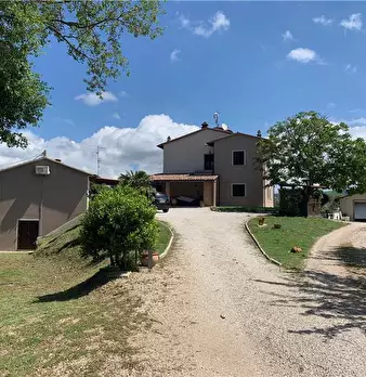 Foto annuncio 15