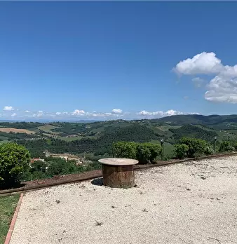 Foto annuncio 6