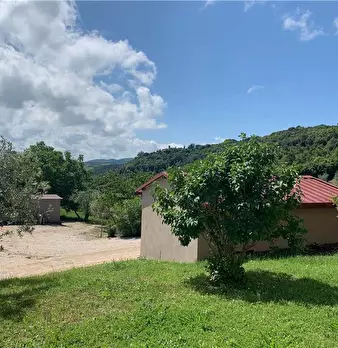Foto annuncio 8