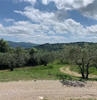 Foto annuncio 9