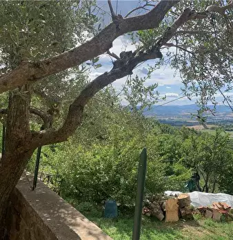 Foto annuncio 10
