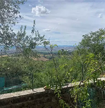 Foto annuncio 12