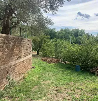 Foto annuncio 30