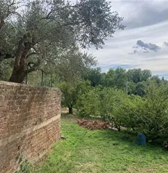 Foto annuncio 31