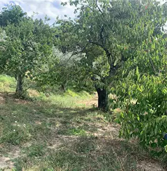 Foto annuncio 32