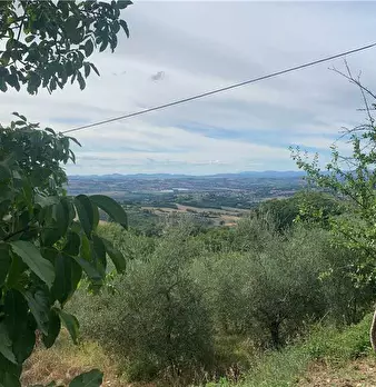 Foto annuncio 33